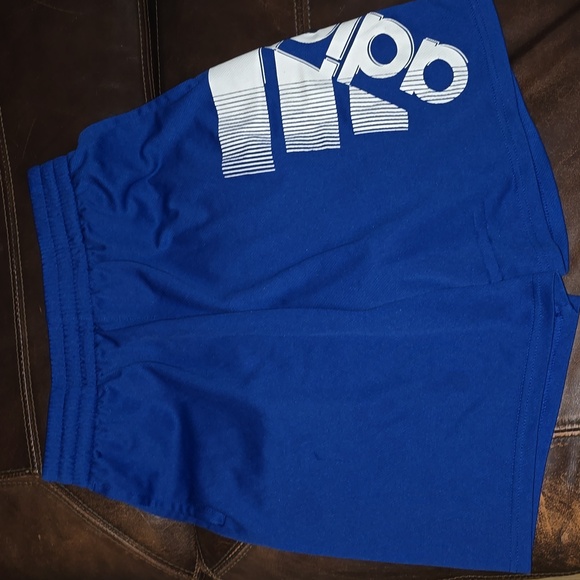 Shorts - Picture 1 of 2